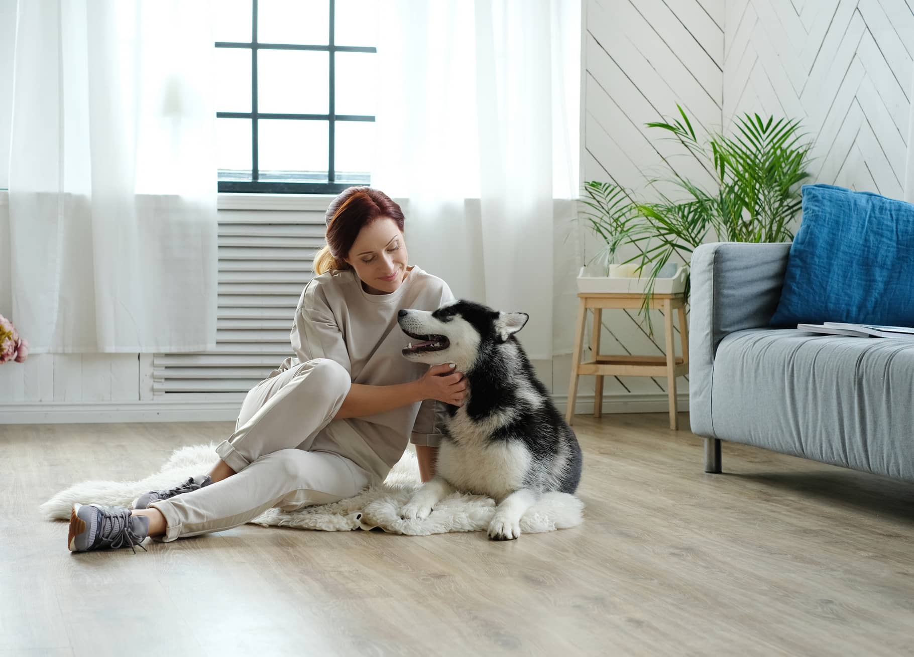 HAVE PETS AT HOME? TIPS ON HOW TO REMOVE PET HAIR FROM CARPET